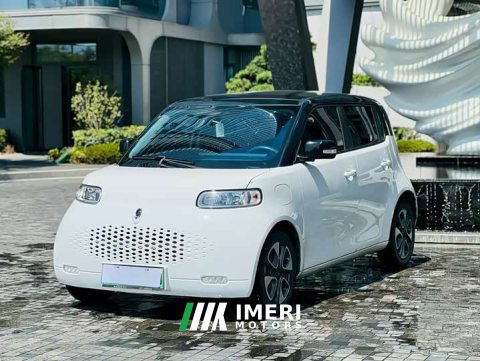 2021 ORA White Cat 2020 305km Luxury - ავტომობილი ჩინეთიდან