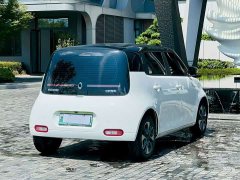 ORA White Cat 2020 305km Luxury - ფოტო 3