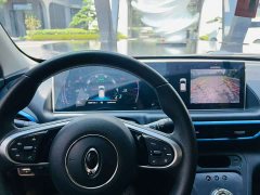 ORA White Cat 2020 305km Luxury - ფოტო 8