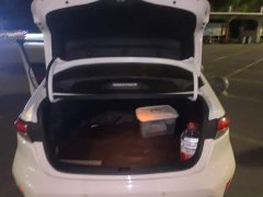 Toyota Corolla TNGA 1.5L CVT Base - ფოტო 15