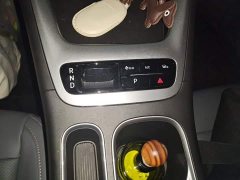 Geely Xing Yuan 310km Dream Edition - ფოტო 10