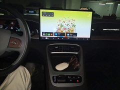 Geely Xing Yuan 310km Dream Edition - ფოტო 9