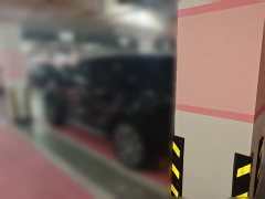 Land Rover Discovery Sport Performance Technology Edition - ფოტო 4