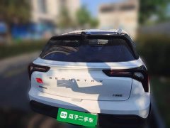 Geely Geometry E Firefly 320KM Cute Tiger 5-Seater - ფოტო 3