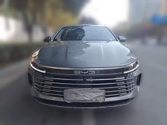 BYD Destroyer 05 DM-i 120KM Luxury - ფოტო 2