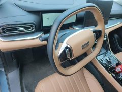 Geely Galaxy Xingyao 6 2026 125km Explorer Edition - ფოტო 6