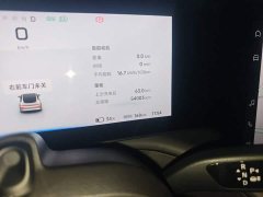 XPeng P7 480N - ფოტო 8