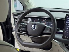 Denza BYD Denza D9 PIONEER Four-Seat Pioneer Edition - ფოტო 14