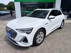 Audi e-tron 2021 50 quattro Luxury - ფოტო 1