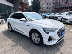 Audi e-tron 2021 50 quattro Luxury - ფოტო 3