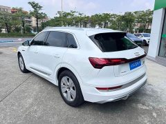 Audi e-tron 2021 50 quattro Luxury - ფოტო 4