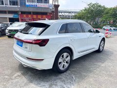 Audi e-tron 2021 50 quattro Luxury - ფოტო 6