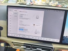 Li Auto L8 Max - ფოტო 20
