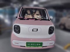 FAW Besturn Xiaoma 222km Dynamic Edition - ფოტო 2