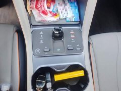 BYD Song Plus New Energy DM-i 71km Luxury - ფოტო 10