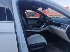 BYD Song Plus New Energy DM-i 71km Luxury - ფოტო 19