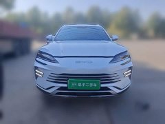 BYD Song Plus New Energy DM-i 71km Luxury - ფოტო 2