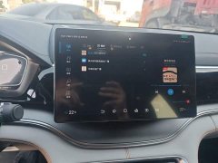 BYD Song Plus New Energy DM-i 71km Luxury - ფოტო 20