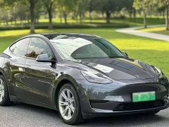 Tesla Model Y 2022 Facelift Rear-Wheel Drive - ფოტო 3
