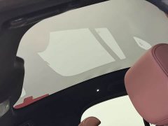 NIO EC6 2020 605KM Sport Edition - ფოტო 7