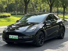 Tesla Model Y Rear-Wheel Drive - ფოტო 1