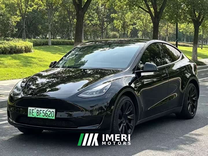 Tesla Model Y Rear-Wheel Drive