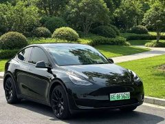 Tesla Model Y Rear-Wheel Drive - ფოტო 3