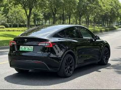 Tesla Model Y Rear-Wheel Drive - ფოტო 7