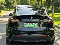 Tesla Model Y Rear-Wheel Drive - ფოტო 8