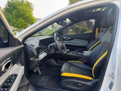Trumpchi Leopard 2021 270T DCT J16 - ფოტო 9