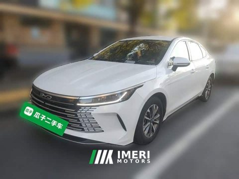 2024 BYD Destroyer 05 Glory Edition DM-i 55KM Luxury - ავტომობილი ჩინეთიდან