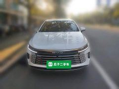 BYD Destroyer 05 Glory Edition DM-i 55KM Luxury - ფოტო 2