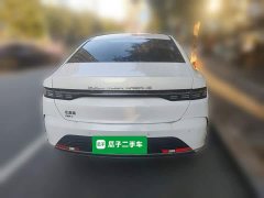 BYD Destroyer 05 Glory Edition DM-i 55KM Luxury - ფოტო 3
