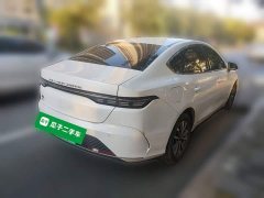 BYD Destroyer 05 Glory Edition DM-i 55KM Luxury - ფოტო 4
