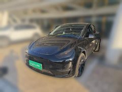 Tesla Model Y 2021 Standard Range RWD - ფოტო 1