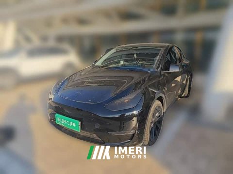 2022 Tesla Model Y 2021 Standard Range RWD - ავტომობილი ჩინეთიდან