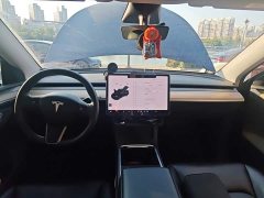 Tesla Model Y 2021 Standard Range RWD - ფოტო 10