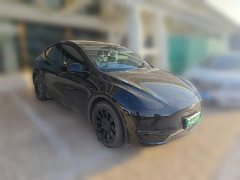 Tesla Model Y 2021 Standard Range RWD - ფოტო 3