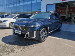 BMW X5 xDrive 30Li M Sport Premium Package - ფოტო 1