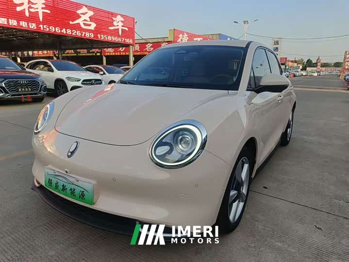 ORA Good Cat 400km Standard Range Athena Edition LFP Battery - ავტომობილი ჩინეთიდან