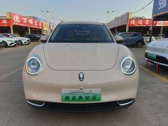 ORA Good Cat 400km Standard Range Athena Edition LFP Battery - ფოტო 2