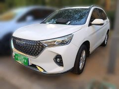 Haval M6 PLUS 1.5T DCT Luxury Smart Connected Edition - ფოტო 1