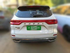 Haval M6 PLUS 1.5T DCT Luxury Smart Connected Edition - ფოტო 3