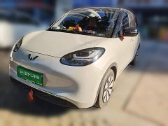 Wuling Binguo 203km Comfort Edition - ფოტო 1