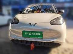 Wuling Binguo 203km Comfort Edition - ფოტო 2