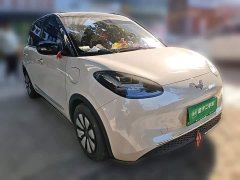 Wuling Binguo 203km Comfort Edition - ფოტო 3
