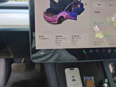Tesla Model 3 Facelift Standard Range RWD Upgrade 3D1 - ფოტო 8