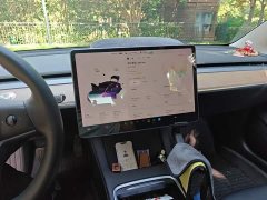 Tesla Model 3 Facelift Standard Range RWD Upgrade 3D1 - ფოტო 9