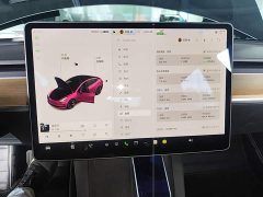 Tesla Model 3 Standard Range RWD Upgrade - ფოტო 7