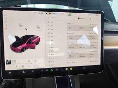 Tesla Model 3 Standard Range RWD Upgrade - ფოტო 8